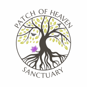Patch Of Heaven Sanctuary