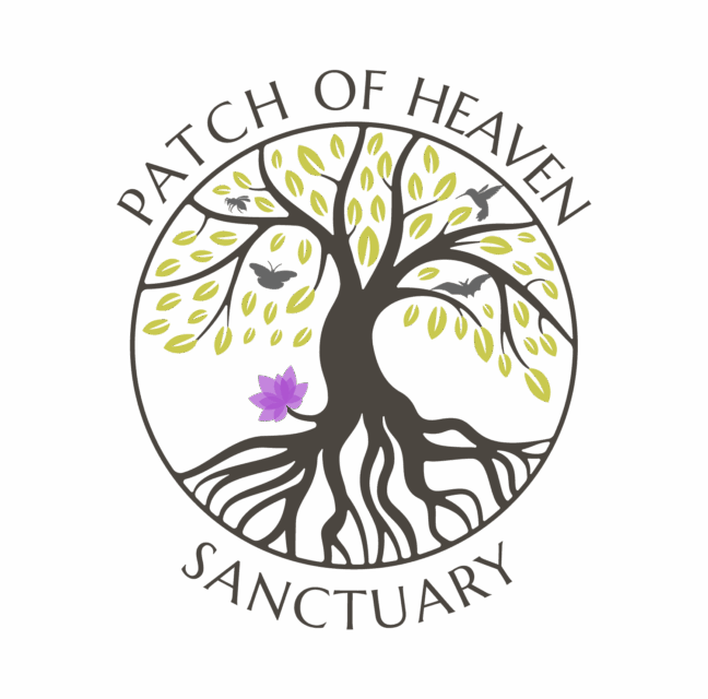 Patch Of Heaven Sanctuary