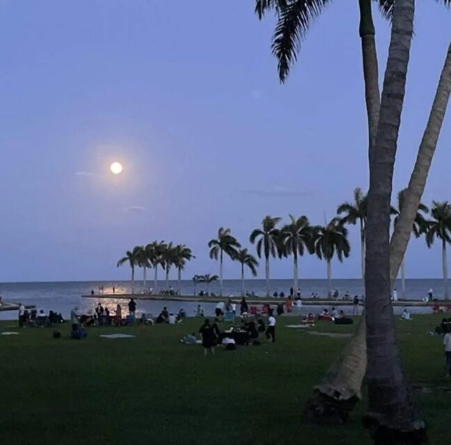 Moonrise over Biscayne Bay at the Deering Estate in Palmetto Bay. Photo: Deering Estate