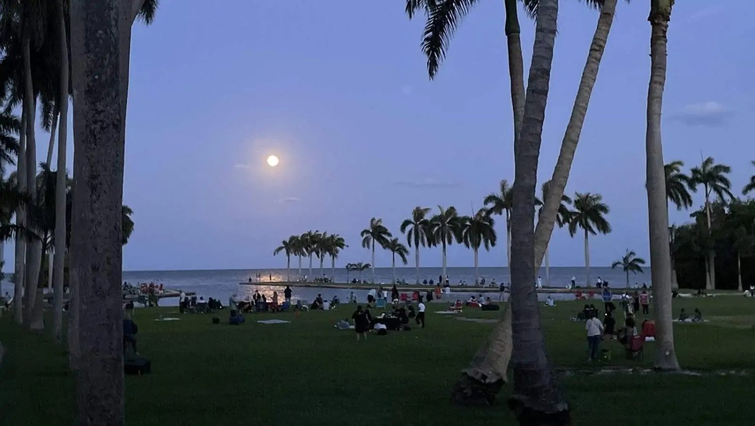 Moonrise over Biscayne Bay at the Deering Estate in Palmetto Bay. Photo: Deering Estate